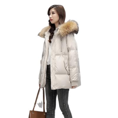 China Custom Women's Waterproof Jackets100% Polyester Waterproof Winter Coat With Fur for sale