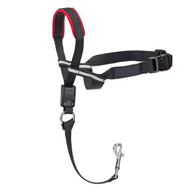 China Sustainable Animals Fitted Key Fashion High Quality Collar For Dogs With Metal Hook for sale