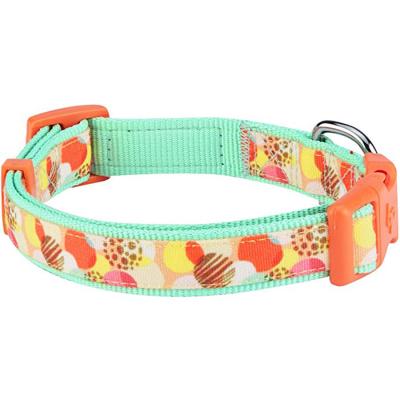 China DETACHED Soft Comfortable Quick Fit Dog Collar With Custom Size for sale