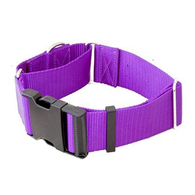 China Durable Solid Martingale Buckle Quick Release Nylon Dog Collars for sale