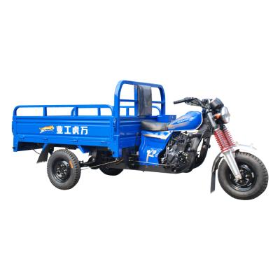 China Cargo Low Price 150cc 3 Wheel Motorized China Cargo Tricycle With Roof for sale