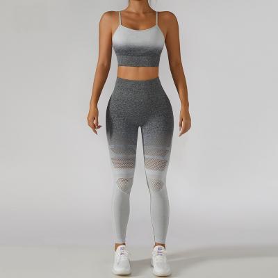 China Stylish Breathable Seamless Sportswear Mesh Ombre Yoga Set Sexy Women Fitness Clothing Wholesale Breathable Fitness Clothing for sale