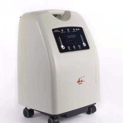 China Indoor Dual Flow 10L Oxygen Generator Oxygen Concentrator for sale