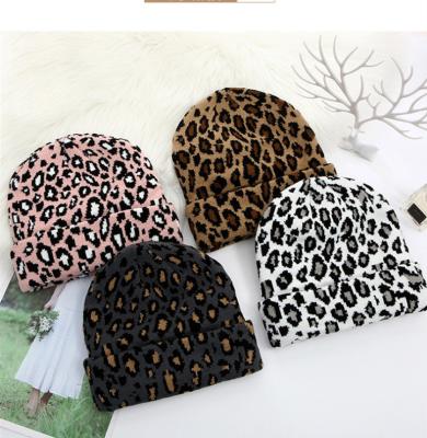 China 2021 New COMMON Winter Beanies Leopard Print Knitted Beanies Hat for sale