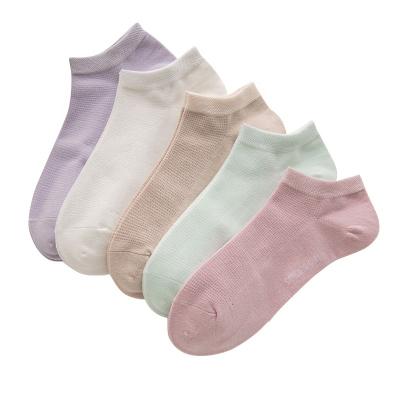 China No Exposure Antibacterial Women's Low Cut Hoops Cotton Thin Invisible Casual Socks Breathable Mesh Socks for sale