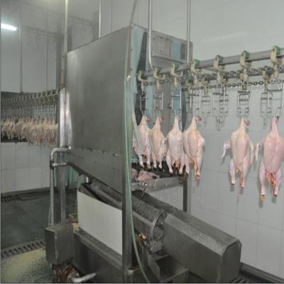 China POULTRY Poultry Processing Inside Outside Bird Seal For Chicken Farm Slaughterhouse Equipment for sale