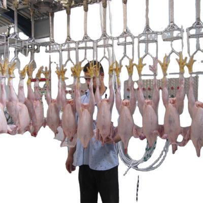 China Overhead Line Chicken Poultry Processing POULTRY Slaughtering Conveyor Plant + Slaughtering Equipment for sale