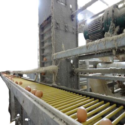 China Farms Design Morden Galvanized Layer Chicken Farm Equipment For Africa Egg Layer Cages System for sale