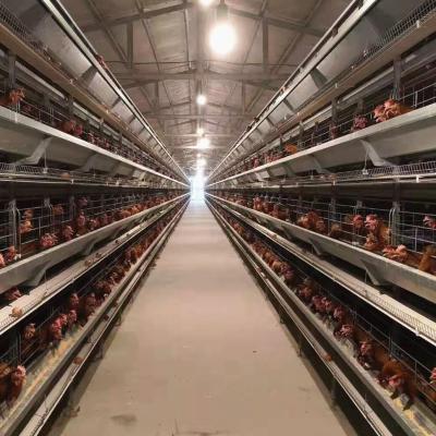 China Hot Sale High Quality One-Stop Automatic Chicken Hens Layer Cage Feeding Equipment For Poultry Farms for sale