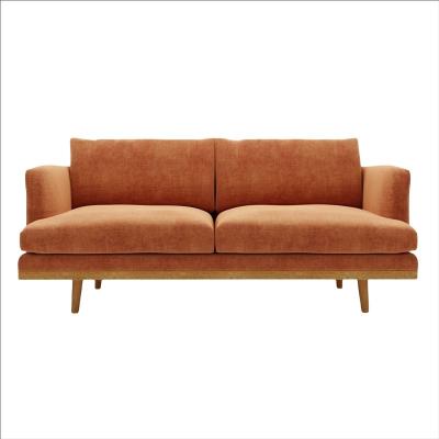 China Other Multifunctional Furniture Style Nordic Simple Living Room Sofa For Sale for sale