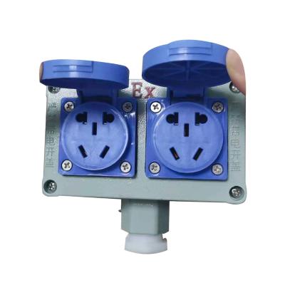 China IP65 Industrial Double 10A 2*5 Pin Socket And Outlet Explosion Proof for sale