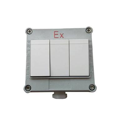 China Lighting control 220V 380V 10A IP65 one pipe two three lighting wall explosion proof switch box for sale