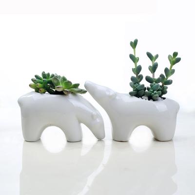 China Home Decoration Cartoon Flower Pot Cartoon Mini Succulent Plants Bonsai Ceramic Animal Pots for sale