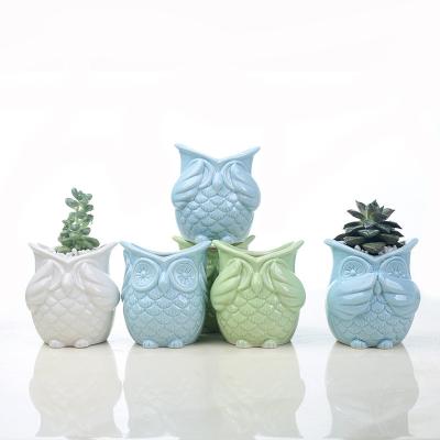 China Succulent Green Cactus Bonsai Planters Crafts Flower Pots Cartoon Owl Shape Plants Ceramic Desktop Basin Flowerpot Succulent Ornaments for sale