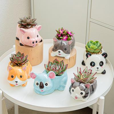 China Wholesale Succulent Planter Cute Animal Flower Pot Flower Pot Cartoon Plant Animals Form Garden Bonsai Pots for sale