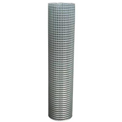 China Plain Weave welded wire mesh fence panels in 12 gauge 12 gauge galvanized welded wire mesh 10 gauge welded wire mesh for sale