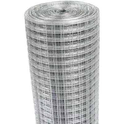 China Plain Weave welded wire mesh panel 8ft x 4ft chicken pens and galvanized welded wire mesh cage for sale