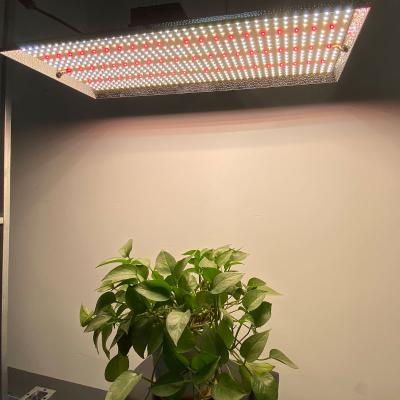 China Seed Starting Full Spectrum IR Red Replace Qb288 Quantum 300W 480w Led 150w for sale