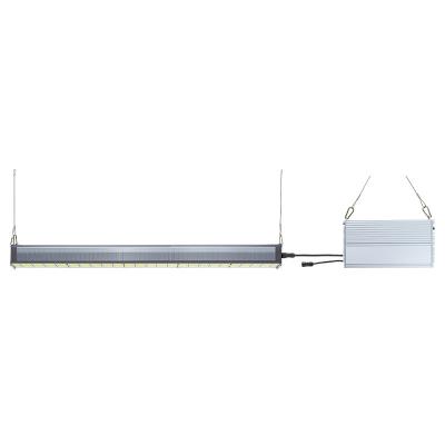 China Seed Starting Top Light LED Grow Light For Tent Use Indoor Grow Model Popular In Grow Shop for sale