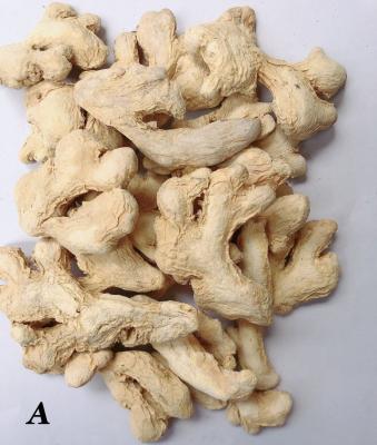 China Dehydrated Dried Ginger for sale