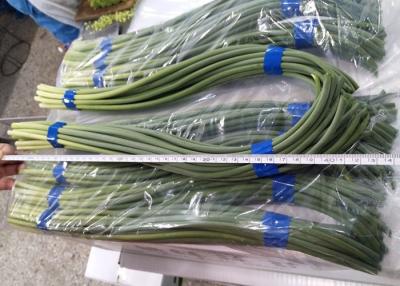 China HACCP 45cm Chinese Groene Knoflookspruiten Te koop