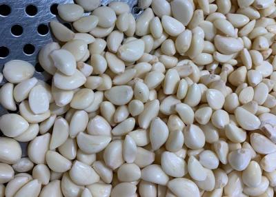 China Gepelde het Knoflookkruidnagels van 3.53oz 100g Te koop