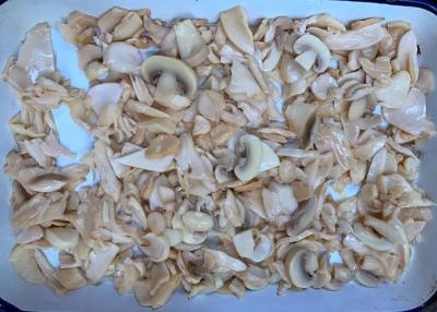 China Zoute Gestoomde Koning Oyster Canned Mushroom 150g Te koop