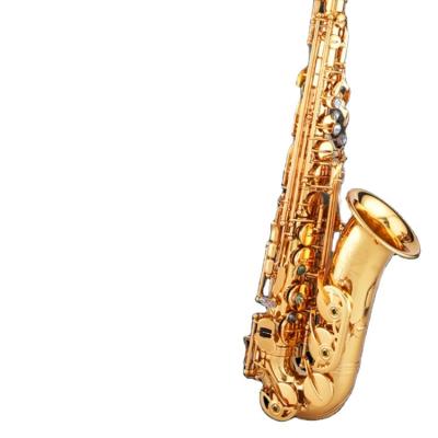 China Cheap Gold Lacquer Musical Instruments Alto Saxophone For Schools for sale