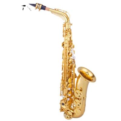 China Education Training Entertainment Performance Low Moq Alto With Case Musical Instrument Alto Sax Saxophone Saxophone Manufacturer From China for sale