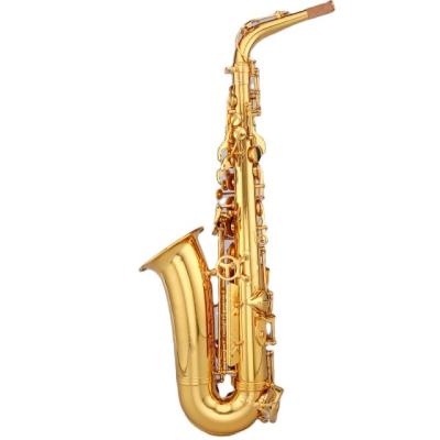 China Gold Lacquer Alto Saxophone TSAS-667 With Zippered Hard Case And Accessories for sale