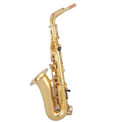 China Gold Lacquer Good Quality Chinese Gold Lacquer Good Quality Cheap Alto Taishan Alto Taishan Saxophone for sale