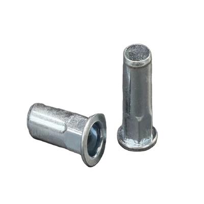 China High Quality Wholesale Custom Narrow Rivet Nut Competitive Price Heavy Industry Heavy Industry Flat Head Rivet Nut for sale