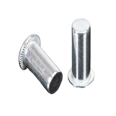 China Good Price Heavy Industry New Product Flat Head Orb Narrow Nut Stainless Steel Rivet Nuts for sale