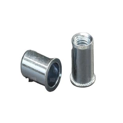 China Heavy industry factory sales modern design hot reduced head round rivet nut reduce head rivet nut for sale