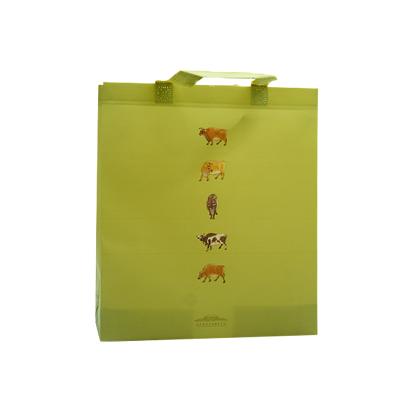 China Matt Lamination Custom Pattern Reusable Storage Folding Bag Hot New Nonwoven Matt Lamination Items for sale