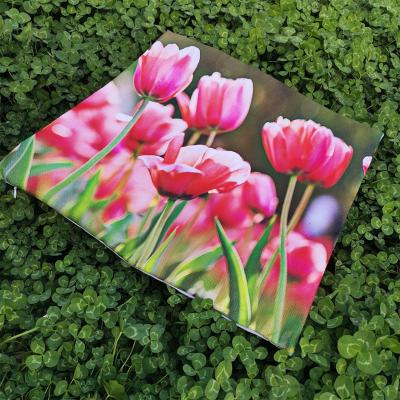 China Sublimation Printing Design Cotton Canvas Polyester Fabric Flower Pillow Decor Anti-static Cushion Cover for sale