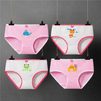 China Amazon QUICK DRY hot selling child briefs boxer factory kids girls underwear packages cheap panties for sale