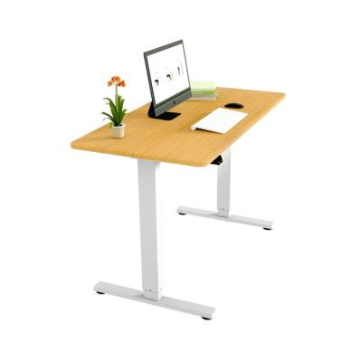 China Adjustable Human Workstation (Size) Office Factory Supply Suitable Prices Simple Modern Computer Desk for sale