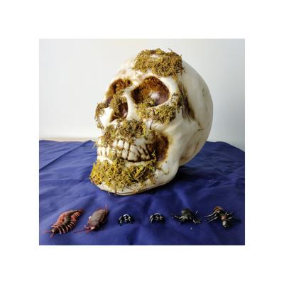 China Europe's New Halloween Style 20cm Light Up Moss Skull Plastic Skull Crafts Decoration Light for sale