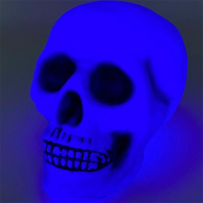 China Plastic Skulls 15+ Plastic Halloween Crafts And Items And Animal Skulls Are Halloween Gifts Glow Can Be Customized for sale