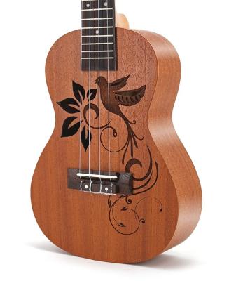 China Sapele Factory Directly 23 Inch Basic Sapele Lark Ukulele Acoustic Guitar for sale