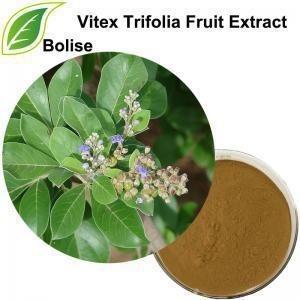 China Van het het Fruituittreksel van 5% Vitexicarpin Vitex Trifolia de hart- en vaatziektenbehandeling Te koop