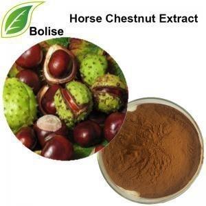 China Skin Care Horse Chestnut Extract 97% Aescigenin Buckeye Extract for sale