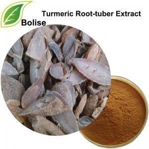 China Turmeric Dried Root Tuber Curcuma Wenyujin Y. Radix Curcumae Extract for sale