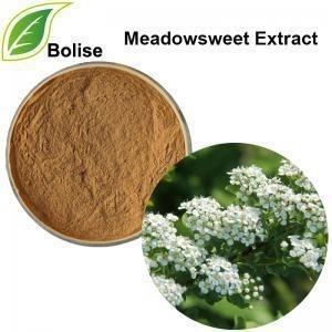 China 10/1 Filipendula Spirea Ulmaria Meadowsweet Herb for sale