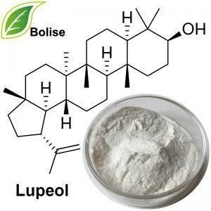 China Lupeol Lupinus Polyphyllus 545-47-1 C30H50O Pharma Herbal Extract for sale