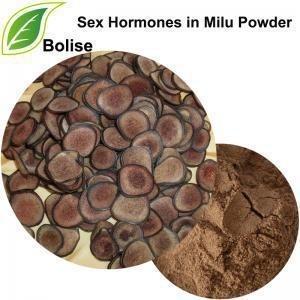 China Sex Hormones In Milu Anti Fatigue Pilose Antler Powder for sale