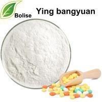 China 99.5% Ying Bangyuan Pharma Herbal Extract Powder for sale