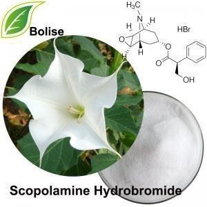 China 114-49-8 Scopolamine Hydrobromide for sale