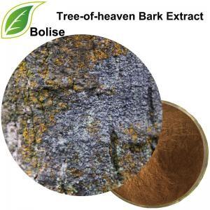 China health Tree Of Heaven Bark Extract Cortex Ailanthi Extract for sale